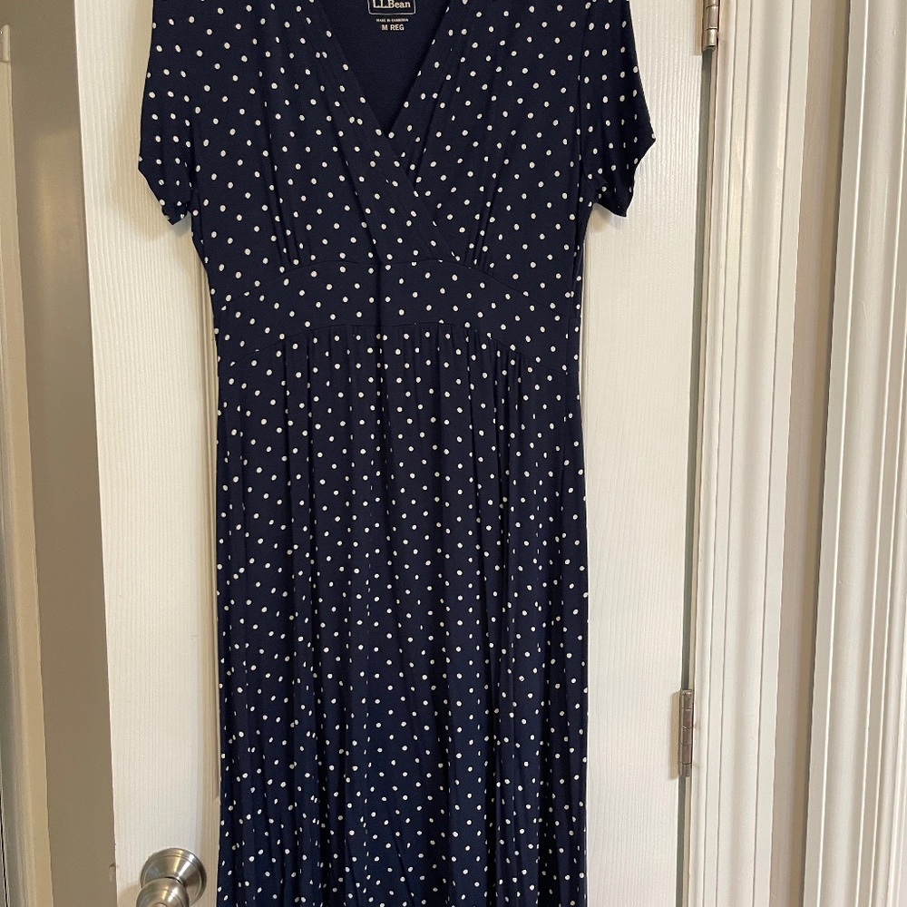 LL Bean Dress